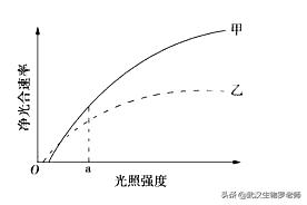 光能净百科:遛完狗，狗的脚太脏怎么办？ 光能净防护液