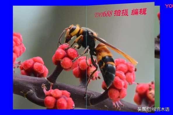 你知道有哪些短小意境优美的现代诗？