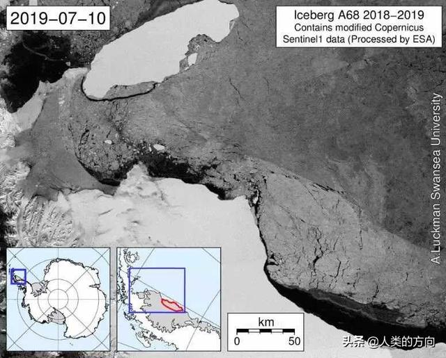 巨型萨凡纳猫:1代萨凡纳猫 现实中真有重泥挽马宝可梦吗？