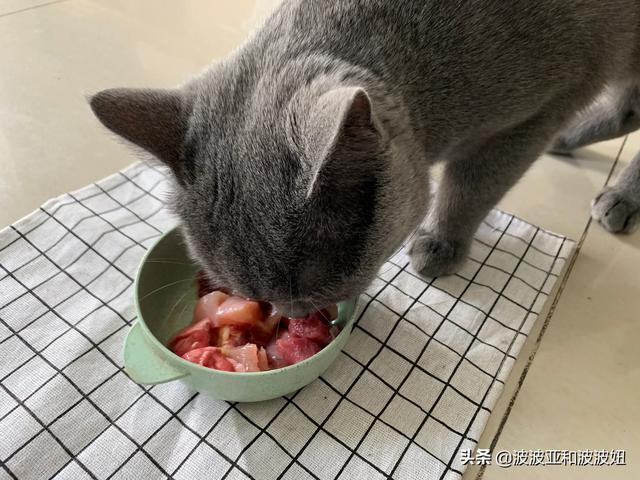 低端天然猫粮:猫咪除了猫粮，连鱼和其他肉食、蛋类都不吃，如何增加营养？ 天然猫粮排行榜