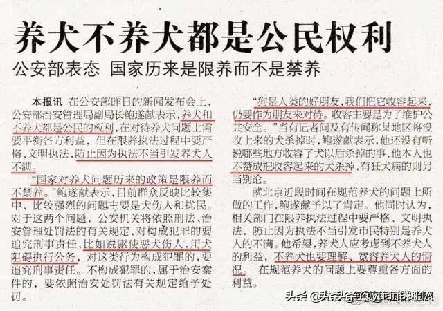 现在禁止养狗的城市越来越多了,泰迪这种小狗会被禁止吗？为什么？