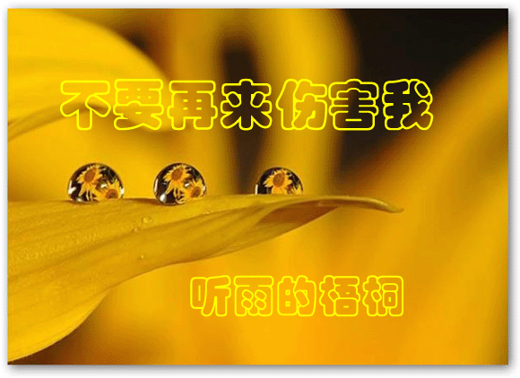 离婚半年,前妻时不时还回来,没几天有走了,该不该继续这样的日子？