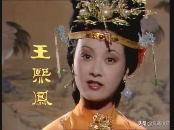 小斯比克斯鹦鹉图片:《红楼梦》中王熙凤明知王夫人心向着宝钗，为什么支持宝黛姻缘？