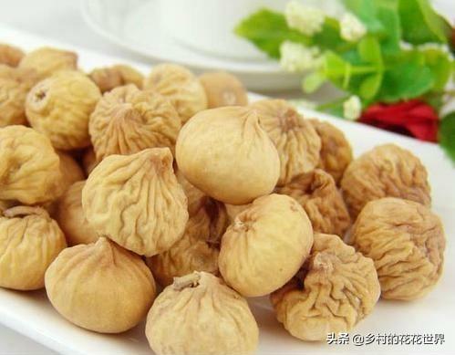 无花果鹦鹉图片:你见过什么外貌奇怪的鸟？ 无花果鹦鹉