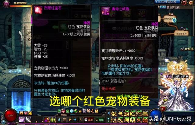 DNF：“25四维4%附加伤害”和“8%附加伤害”的红色宠物装备,应该如何选择？