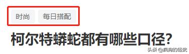 马萨德巨蛇:泰国娜迦蛇真实存在吗？有怎样的传说？