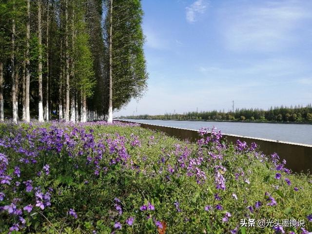 上海衡山路裸拍:上海有什么鲜为人知但很有意思的景点？