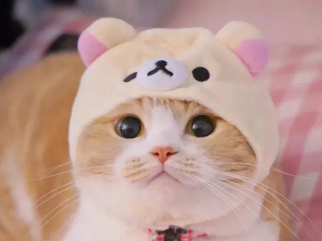 适合发朋友圈唯美句子:有哪些特别唯美，让你第一眼看到就心动的句子？