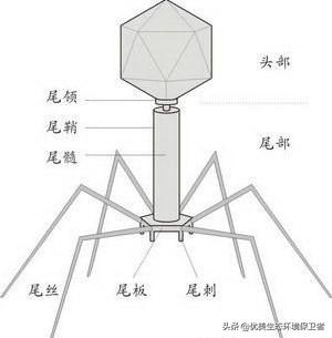 纳米机器人:纳米机器人在军事上的作用是什么