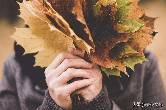 什么是地推，是指实地推广吗，跟网推比效果如何
