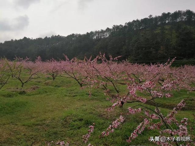 刚出来社会,应该怎样选择对的职业？