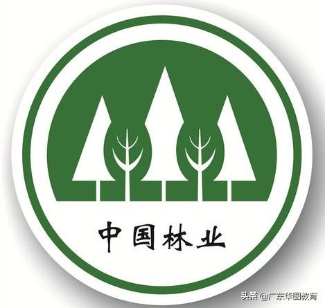 头条问答 - 林业干部有哪些待遇?就业与职工有哪些优势?(3个回答)