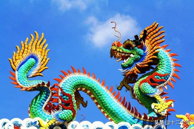 藏獒驮佛的特点:龙在《西游记》中的地位如何？