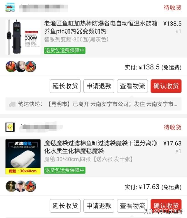 弹弹堂2宠物蛇王:你养鱼烧了多少钱了？你都购买了哪些设备，觉得如何？