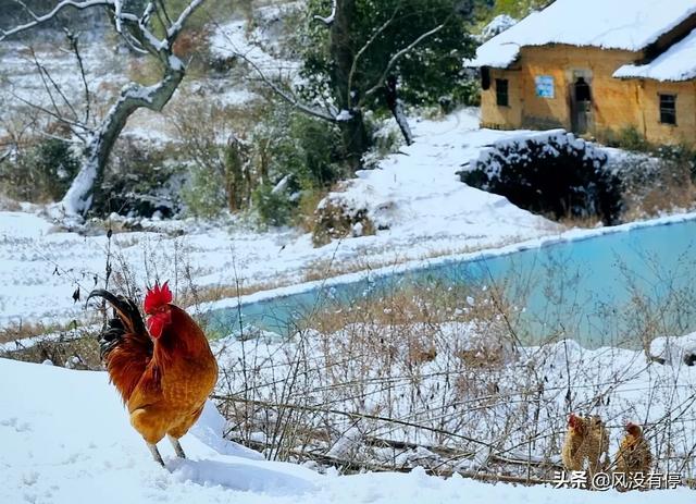 你去过哪些非常小众却又特别美的景点？插图125