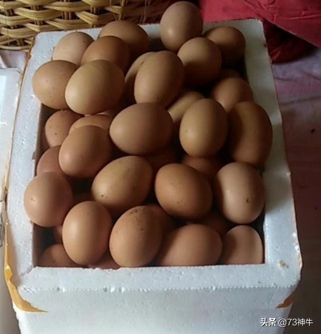 鸡蛋和鸭蛋哪个更好吃？哪个营养价值更高？:鸭蛋的热量 第1张