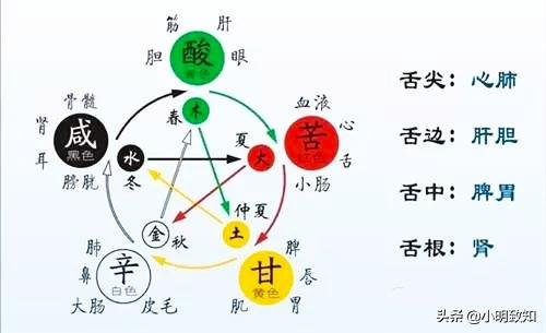 银斑龙猫耳朵变白:肝出问题了，头发会有哪些表现？ 银斑龙猫会越来越白吗