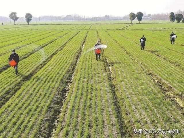 个人视频自媒体如何挣钱(自媒体怎么赚钱?)