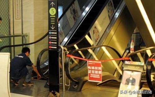 中国松狮行业的发展:家居饰品行业前景怎么样？现在的人们更喜欢什么类型的家居饰品？ 中国松狮产地在哪里
