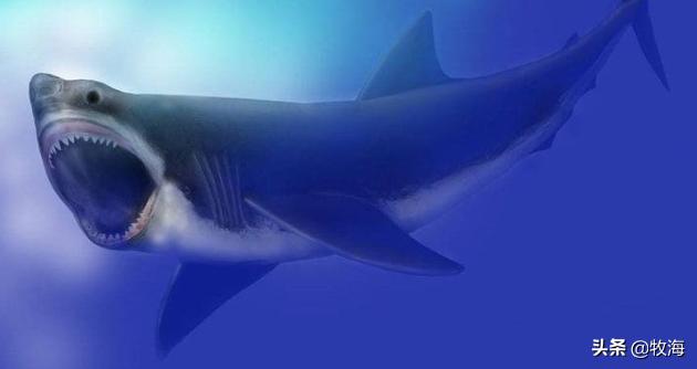 最大植物是雷曼将军树高83.8米,树木底部最大直径11.1米.