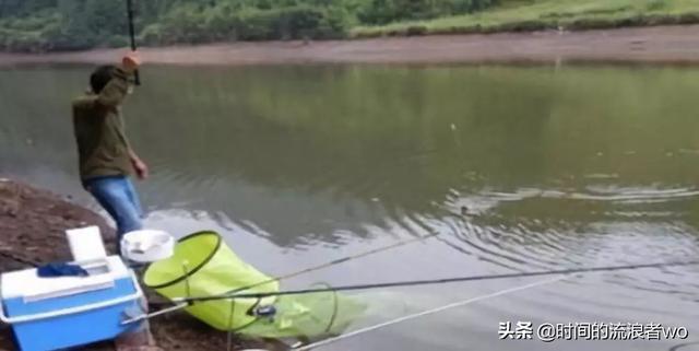 亳州短脚长身梗犬多少钱一只:野钓，只在野河里，不去水库，怎么选择鱼竿和浮漂？
