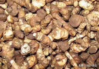 苗圃照片:苗圃有哪些常用肥以及如何施肥？