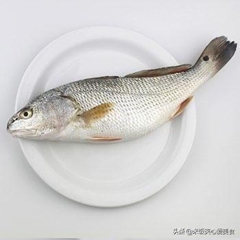 头条问答 白花鱼如何做火锅 5个回答