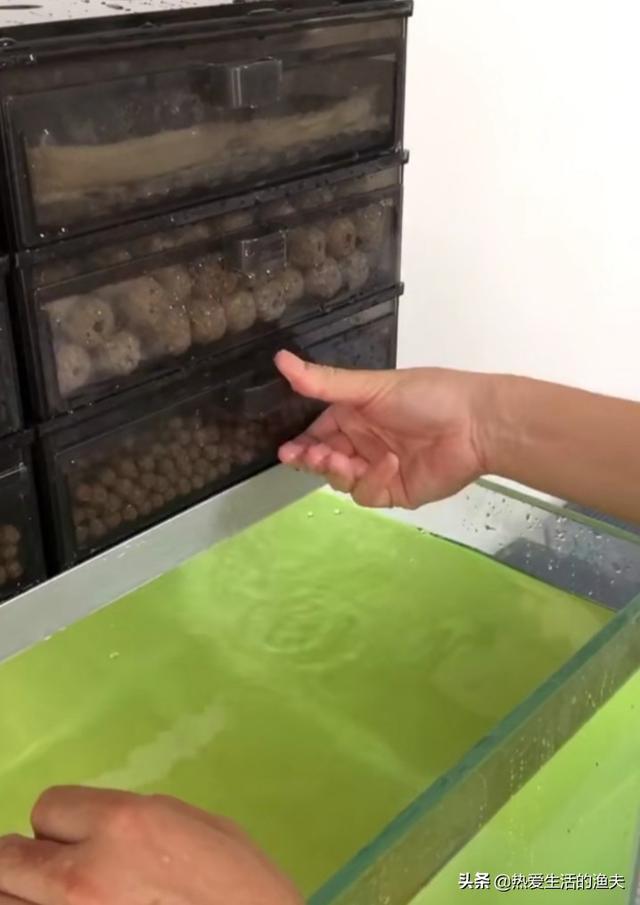 滴流一定要用生化球么:滴流盒需要加生化棉吗 如何正确使用生化球培养硝化细菌？