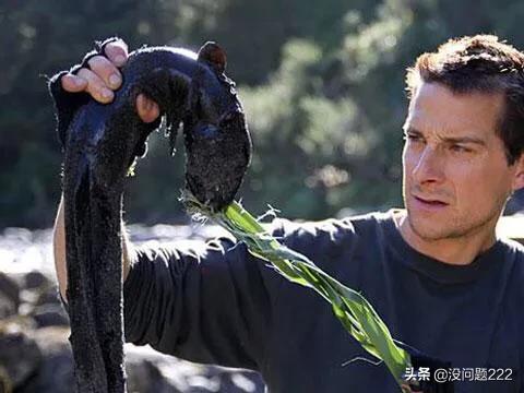 谢天华个人资料:贝爷和明星一起开的节目是哪个台