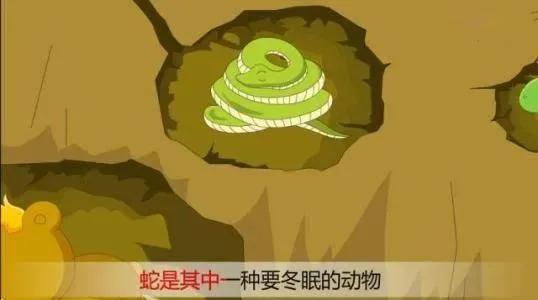 找到冰冷的毒蛇粘液:冰冷的毒蛇粘液 蛇最怕什么？在野外碰到蛇该怎么做呢？