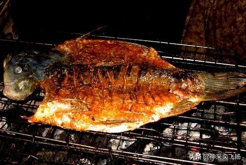 哪些淡水鱼做烤鱼比较好吃？
