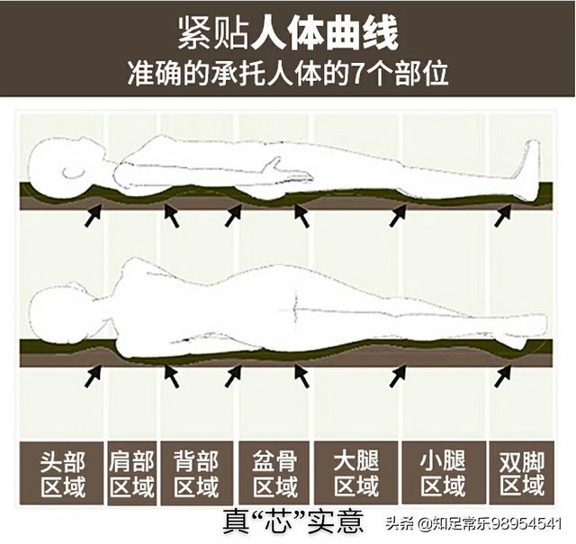 3d一族是羊大一点还是狗大一点:床垫软一点好还是硬一点好？