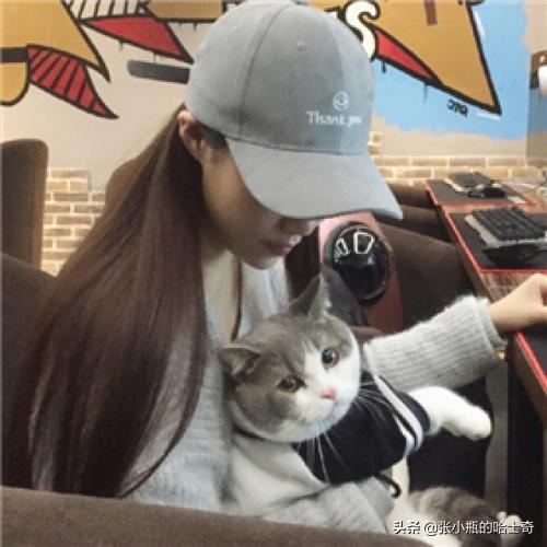 幼猫猫粮什么价:幼猫该吃什么，现在猫粮买了还没有到，这两天先喂点什么？