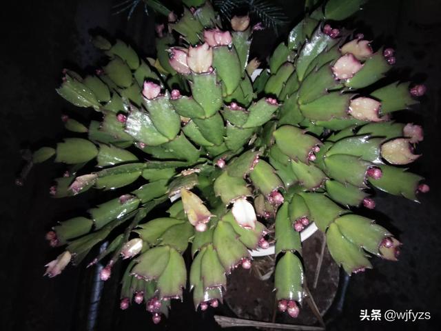 现在一年收入多少算是小康家庭？
