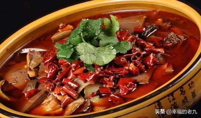 藏獒成火锅食材视频:正宗的毛血旺的食材除了鸭血和毛肚还有什么？