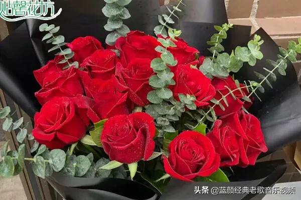 西方的情人节送玫瑰🌹，我国的“七夕”情人节送什么花好呢？
