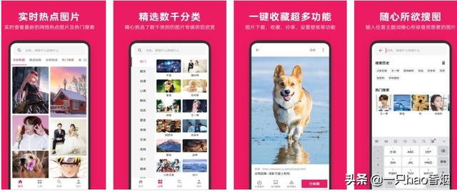 哪个app有图片可以搜索？