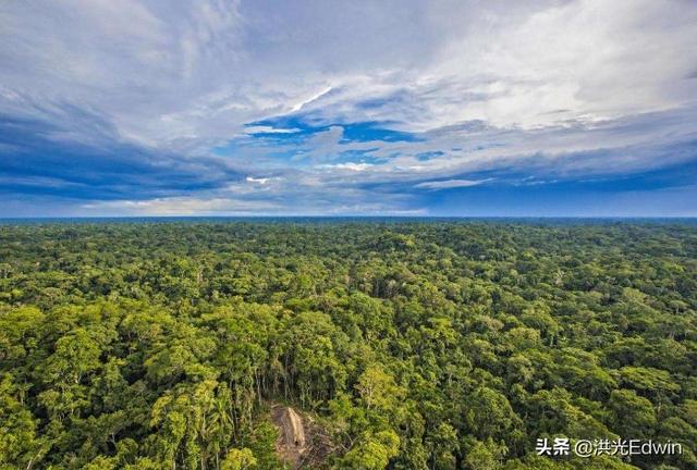 亚马逊部落全课图片，为什么有人说亚马逊雨林是人类禁区到底有多恐怖