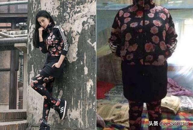 狗狗服装秀:刚出生的狗狗，穿什么最好？