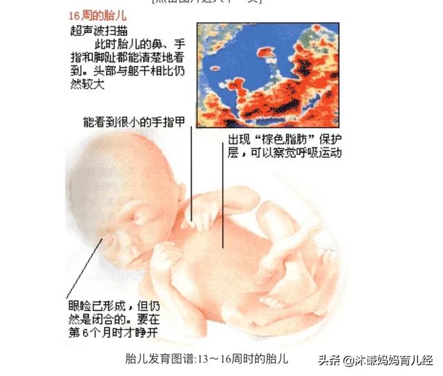 头条问答 四个月没胎心孩子能保住吗 沐依萝的回答 0赞