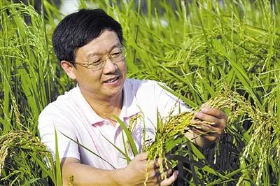 袁隆平院士的学生中，有谁真正掌握了杂交水稻的核心技术？