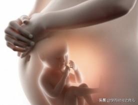 宝宝体重跟哪些因素相关，孕期影响胎儿体重的因素有哪些？