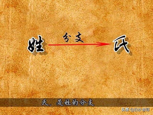 秦始皇名字:秦始皇为什么叫赵政又叫嬴政，先秦时代的姓氏起源是怎么样的？