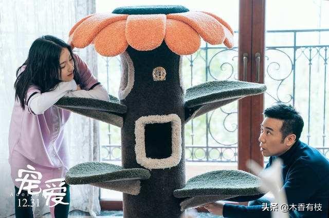 于和伟离婚:你觉得电影《宠爱》算烂片吗？你怎么看这部片子？