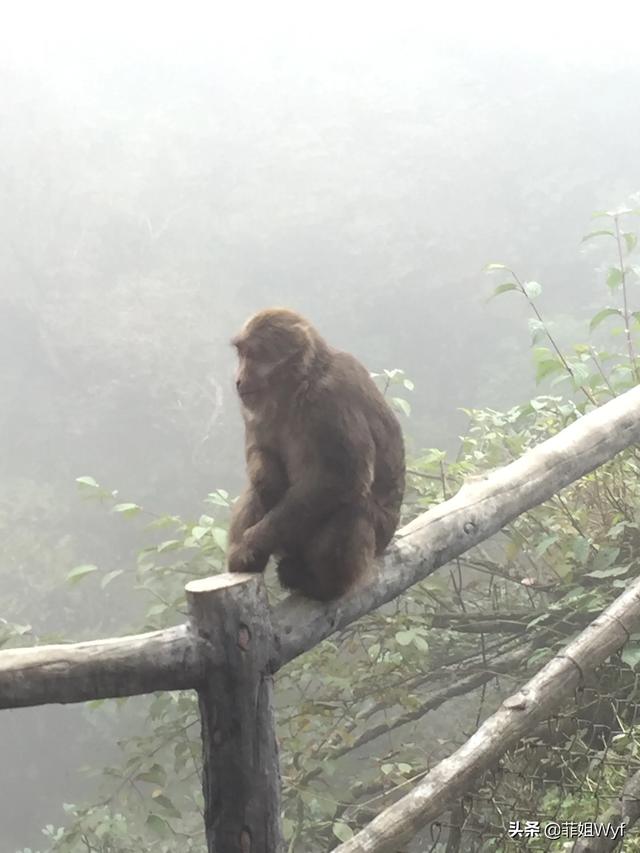 怎样对住房进行一个最经济实惠的装修？插图1