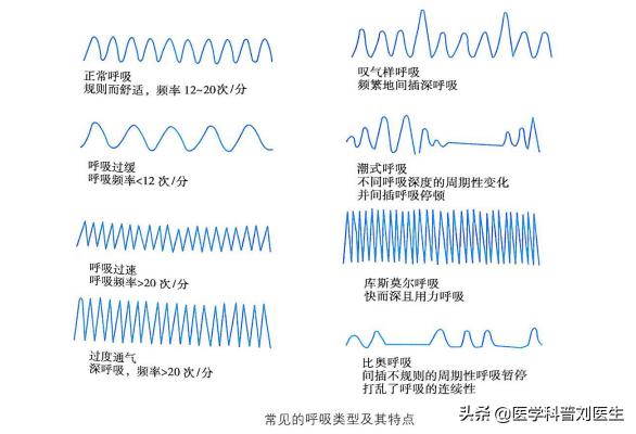 常人一分钟呼吸多少次:成人一分钟呼吸6次正常吗？