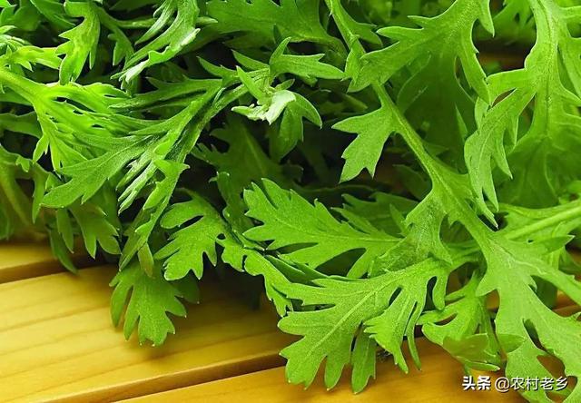 头条问答 腌野菜 要不要将菜穿水 13个回答