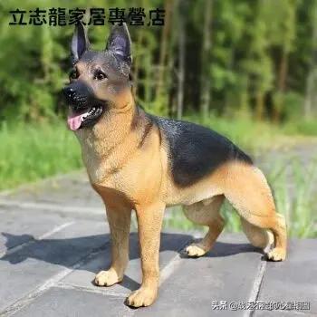被打狗叫音效:狗咬人的时候将狗打死，需不需要赔偿？ 打狗叫声视频