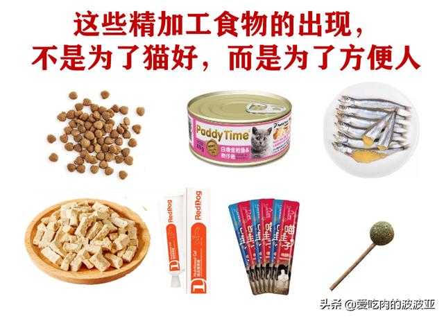 小猫吃什么:哪些食物是猫咪最爱吃的？ 小猫吃什么食物