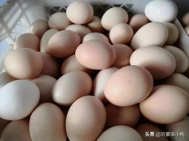 西安一餐厅设免费爱心冰箱：西安一餐厅设免费冰箱